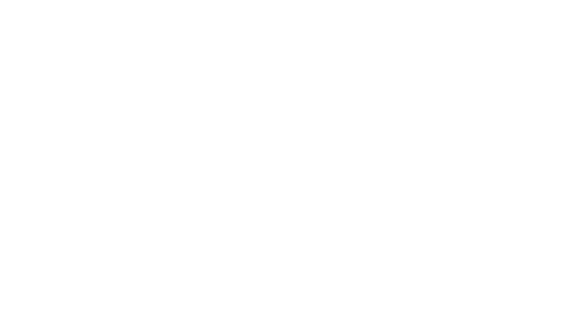 znzal2-1